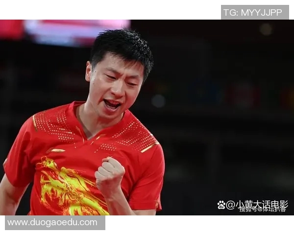 乒乓球比赛经验排行榜揭晓上海乒乓球队荣登第九位引发关注