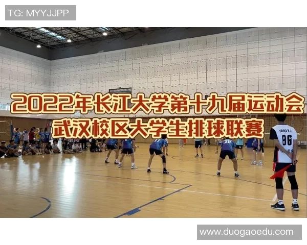 武汉排球队在锦标赛中的实力展现与未来发展潜力分析