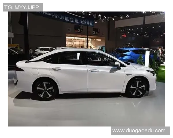 成都排球队在洲际杯中的耐力表现值得称赞展现出顽强拼搏的精神风貌